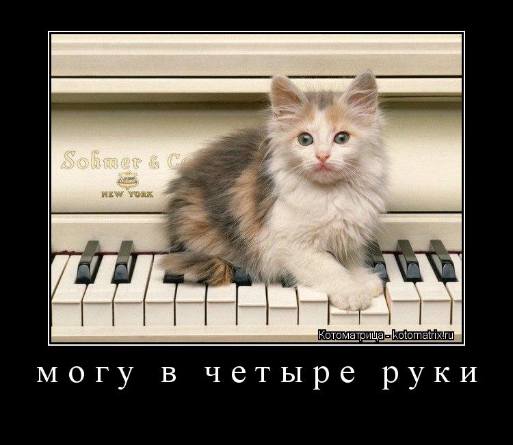 Котоматрица: могу в четыре руки 