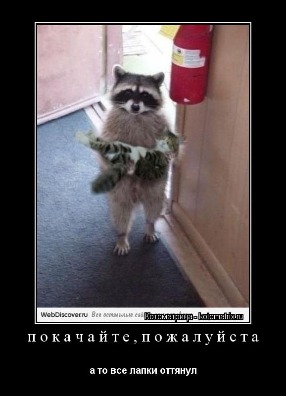 покачайте,пожалуйста а то все лапки оттянул... Котоматрица: покачайте,пожалуйста а то все лапки оттянул