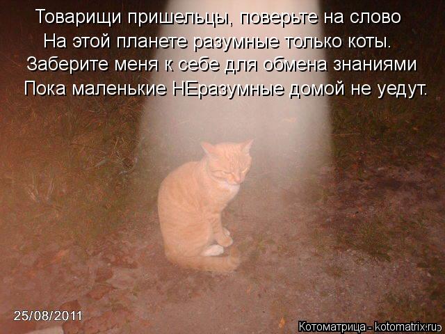 Товарищи пришельцы, поверьте на слово На этой планете разумные только коты. Заберите меня к себе для ... Котоматрица: Товарищи пришельцы, поверьте на слово На этой планете разумные только коты. Заберите меня к себе для обмена знаниями Пока маленькие НЕразу
