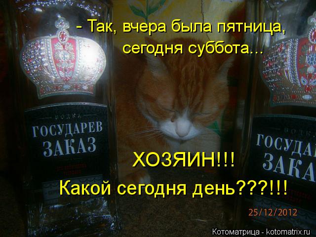 - Так, вчера была пятница, сегодня суббота... ХОЗЯИН!!! Какой сегодня день???!!!... Котоматрица: - Так, вчера была пятница, сегодня суббота... ХОЗЯИН!!! Какой сегодня день???!!!