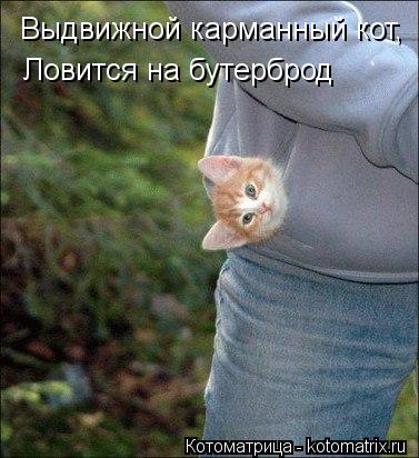 Выдвижной карманный кот, Ловится на бутерброд... Котоматрица: Выдвижной карманный кот, Ловится на бутерброд