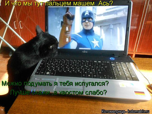 И что мы тут пальцем машем .Ась? Можно подумать я тебя испугался? Лучше скажи ,а хвостом слабо?... Котоматрица: И что мы тут пальцем машем .Ась? Можно подумать я тебя испугался? Лучше скажи ,а хвостом слабо?