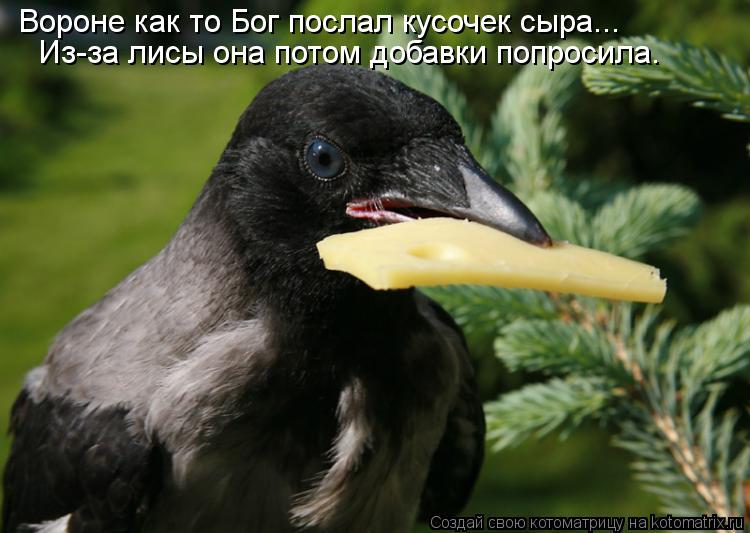 Вороне как то Бог послал кусочек сыра... Из-за лисы она потом добавки попросила.... Котоматрица: Вороне как то Бог послал кусочек сыра... Из-за лисы она потом добавки попросила.