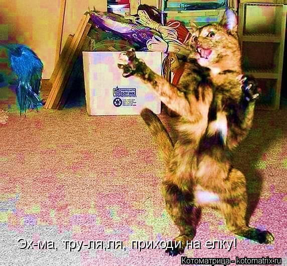 Эх-ма, тру-ля,ля, приходи на елку!... Котоматрица: Эх-ма, тру-ля,ля, приходи на елку!