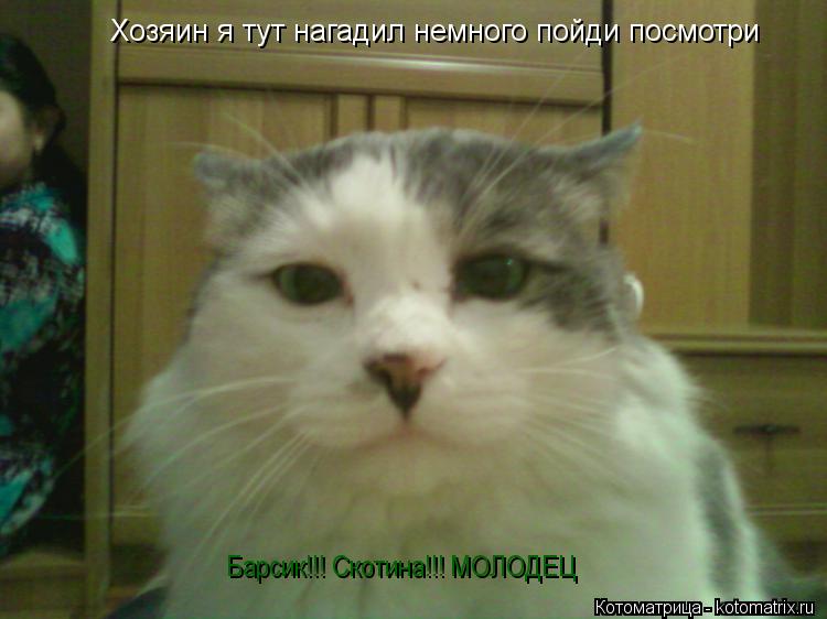 Хозяин я тут нагадил немного пойди посмотри Барсик!!! Скотина!!! МОЛОДЕЦ... Котоматрица: Хозяин я тут нагадил немного пойди посмотри Барсик!!! Скотина!!! МОЛОДЕЦ