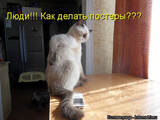 Люди!!! Как делать постеры???... Котоматрица: Люди!!! Как делать постеры???
