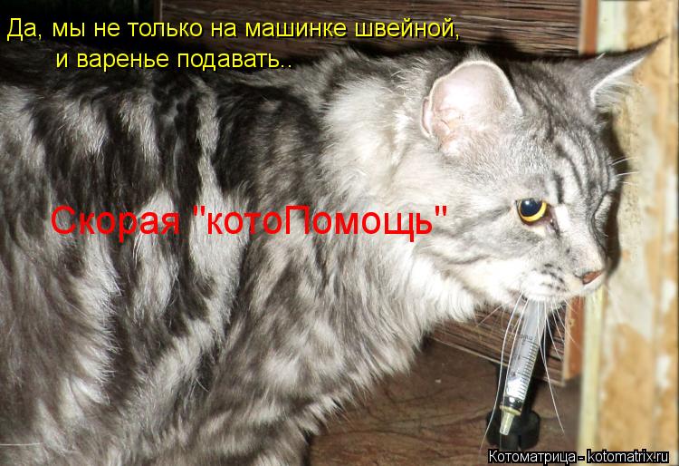 Да, мы не только на машинке швейной, и варенье подавать.. Скорая "котоПомощь"... Котоматрица: Да, мы не только на машинке швейной, и варенье подавать.. Скорая "котоПомощь"