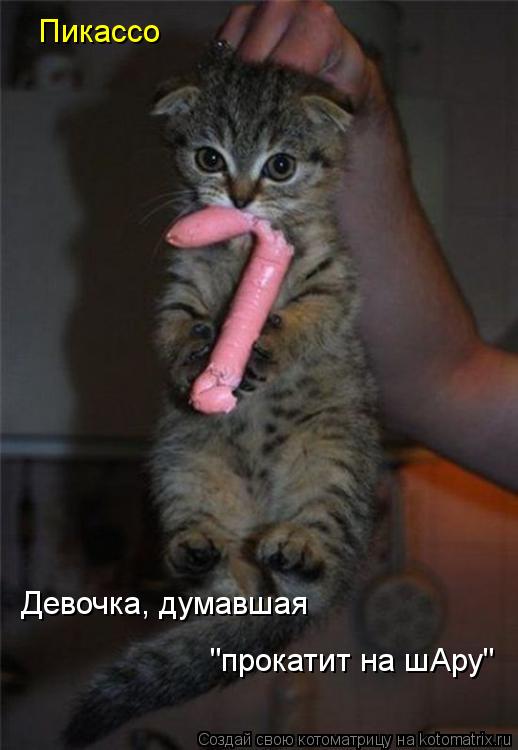 Девочка, думавшая "прокатит на шАру" Пикассо... Котоматрица: Девочка, думавшая "прокатит на шАру" Пикассо