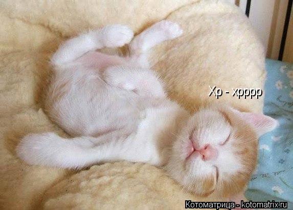 Хр - хрррр... Котоматрица: Хр - хрррр