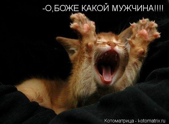 -О,БОЖЕ КАКОЙ МУЖЧИНА!!!!... Котоматрица: -О,БОЖЕ КАКОЙ МУЖЧИНА!!!!
