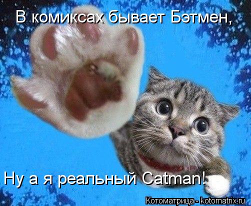 В комиксах бывает Бэтмен, Ну а я реальный Catman!... Котоматрица: В комиксах бывает Бэтмен, Ну а я реальный Catman!