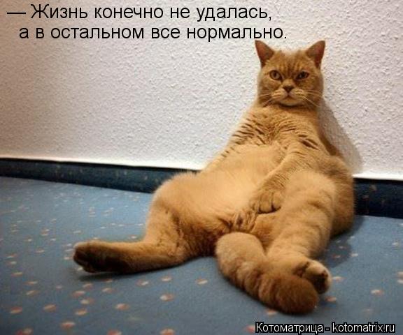 — Жизнь конечно не удалась, а в остальном все нормально.... Котоматрица: — Жизнь конечно не удалась, а в остальном все нормально.