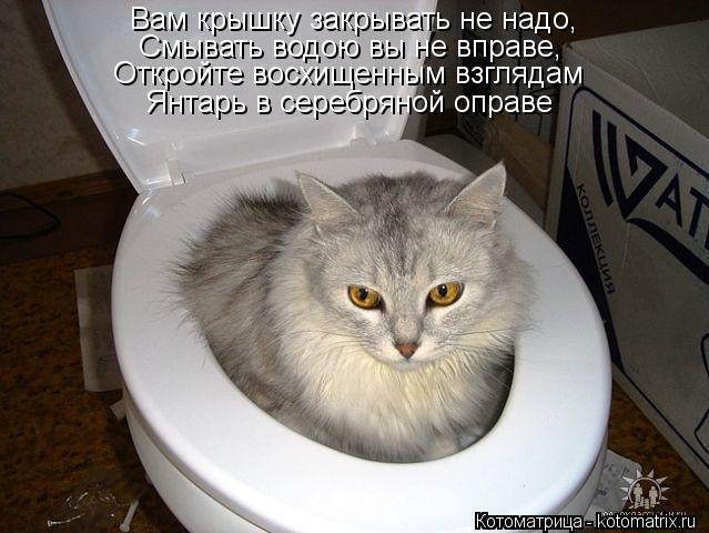 Вам крышку закрывать не надо, Смывать водою вы не вправе, Откройте восхищенным взглядам Янтарь в сере... Котоматрица: Вам крышку закрывать не надо, Смывать водою вы не вправе, Откройте восхищенным взглядам Янтарь в серебряной оправе
