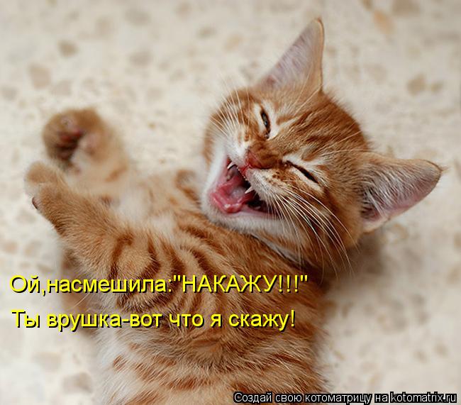 Ой,насмешила:"НАКАЖУ!!!" Ты врушка-вот что я скажу!... Котоматрица: Ой,насмешила:"НАКАЖУ!!!" Ты врушка-вот что я скажу!