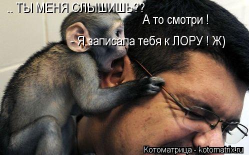 .. ТЫ МЕНЯ СЛЫШИШЬ?? А то смотри ! - Я записала тебя к ЛОРУ ! Ж)... Котоматрица: .. ТЫ МЕНЯ СЛЫШИШЬ?? А то смотри ! - Я записала тебя к ЛОРУ ! Ж)