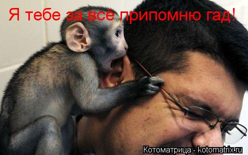 Я тебе за всё припомню гад!... Котоматрица: Я тебе за всё припомню гад!