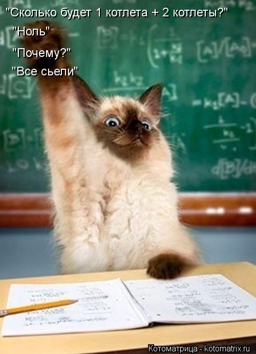 "Сколько будет 1 котлета + 2 котлеты?" "Ноль" "Почему?" "Все сьели"... Котоматрица: "Сколько будет 1 котлета + 2 котлеты?" "Ноль" "Почему?" "Все сьели"