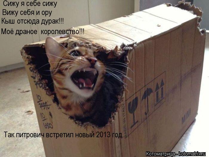 Сижу я себе сижу Вижу себя и ору Кыш отсюда дурак!!! Моё драное королевство!!! Так питрович встретил... Котоматрица: Сижу я себе сижу Вижу себя и ору Кыш отсюда дурак!!! Моё драное королевство!!! Так питрович встретил новый 2013 год...