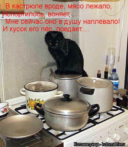 В кастрюле вроде, мясо лежало, Испортилось, воняет.... Мне сейчас оно в душу наплевало! И кусок его п... Котоматрица: В кастрюле вроде, мясо лежало, Испортилось, воняет.... Мне сейчас оно в душу наплевало! И кусок его пёс, поедает....