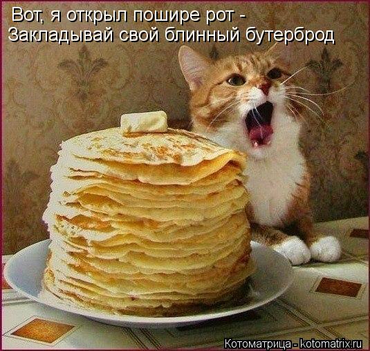 Вот, я открыл пошире рот - Закладывай свой блинный бутерброд... Котоматрица: Вот, я открыл пошире рот - Закладывай свой блинный бутерброд