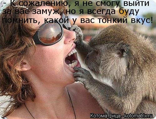 - К сожалению, я не смогу выйти за вас замуж, но я всегда буду помнить, какой у вас тонкий вкус!... Котоматрица: - К сожалению, я не смогу выйти за вас замуж, но я всегда буду помнить, какой у вас тонкий вкус!