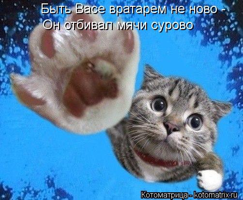 Быть Васе вратарем не ново - Он отбивал мячи сурово... Котоматрица: Быть Васе вратарем не ново - Он отбивал мячи сурово