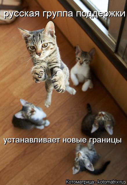 русская группа поддержки устанавливает новые границы... Котоматрица: русская группа поддержки устанавливает новые границы