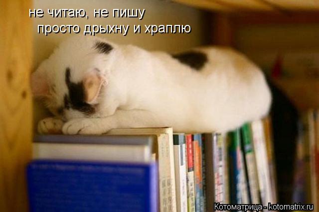 не читаю, не пишу просто дрыхну и храплю... Котоматрица: не читаю, не пишу просто дрыхну и храплю
