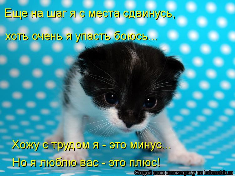 Хожу с трудом я - это минус... Но я люблю вас - это плюс! Еще на шаг я с места сдвинусь, хоть очень ... Котоматрица: Хожу с трудом я - это минус... Но я люблю вас - это плюс! Еще на шаг я с места сдвинусь, хоть очень я упасть боюсь...