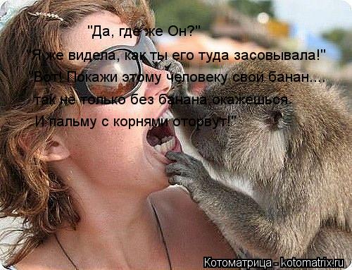 "Да, где же Он?" "Я же видела, как ты его туда засовывала!" "Вот! Покажи этому человеку свой банан...... Котоматрица: "Да, где же Он?" "Я же видела, как ты его туда засовывала!" "Вот! Покажи этому человеку свой банан.... так не только без банана окажешься И пальму