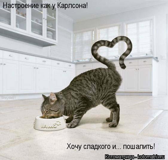 Настроение как у Карлсона! Хочу сладкого и... пошалить!... Котоматрица: Настроение как у Карлсона! Хочу сладкого и... пошалить!