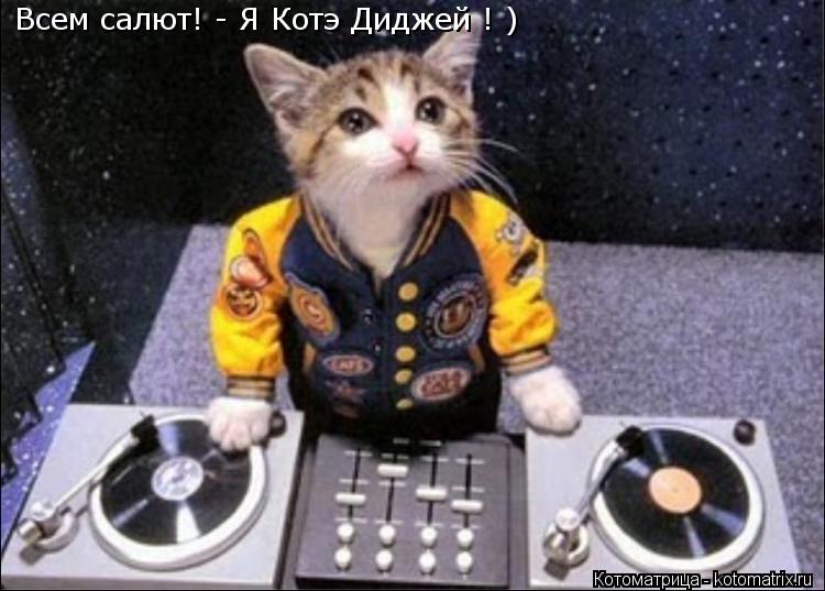Всем салют! - Я Котэ Диджей ! )... Котоматрица: Всем салют! - Я Котэ Диджей ! )
