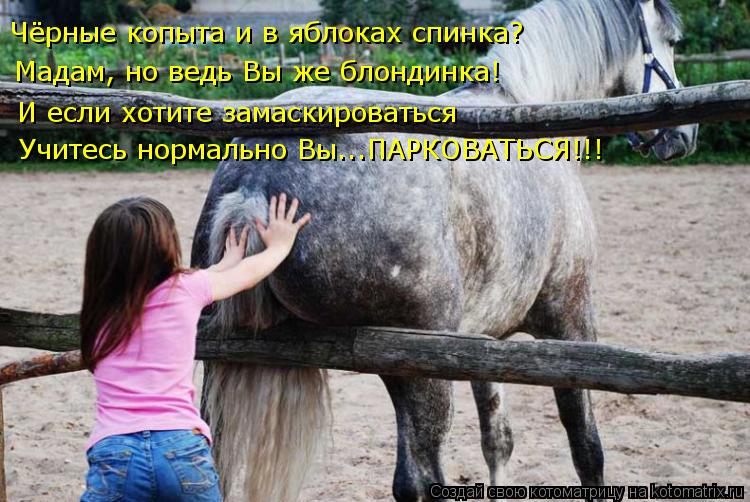 Чёрные копыта и в яблоках спинка? Мадам, но ведь Вы же блондинка! И если хотите замаскироваться Учите... Котоматрица: Чёрные копыта и в яблоках спинка? Мадам, но ведь Вы же блондинка! И если хотите замаскироваться Учитесь нормально Вы...ПАРКОВАТЬСЯ!!!