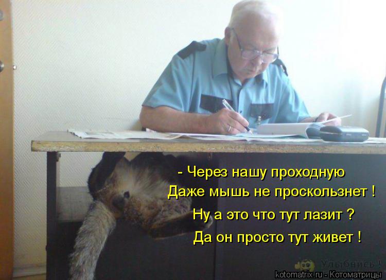 - Через нашу проходную Ну а это что тут лазит ? Да он просто тут живет ! Даже мышь не проскользнет !... Котоматрица: - Через нашу проходную Ну а это что тут лазит ? Да он просто тут живет ! Даже мышь не проскользнет !