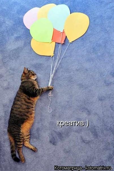креатив:)... Котоматрица: креатив:)