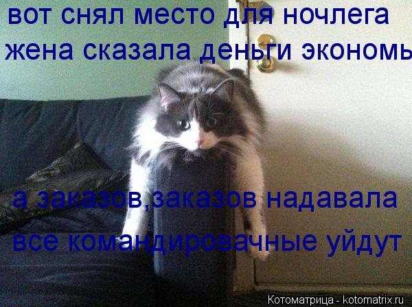 вот снял место для ночлега жена сказала деньги экономь а заказов,заказов надавала все командировачные... Котоматрица: вот снял место для ночлега жена сказала деньги экономь а заказов,заказов надавала все командировачные уйдут