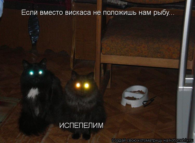 Если вместо вискаса не положишь нам рыбу... ИСПЕПЕЛИМ... Котоматрица: Если вместо вискаса не положишь нам рыбу... ИСПЕПЕЛИМ