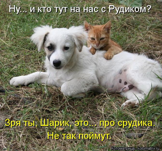 Ну... и кто тут на нас с Рудиком? Зря ты, Шарик, это... про срудика. Не так поймут.... Котоматрица: Ну... и кто тут на нас с Рудиком? Зря ты, Шарик, это... про срудика. Не так поймут.