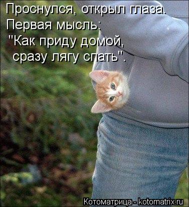 Проснулся, открыл глаза. Первая мысль: "Как приду домой, сразу лягу спать".... Котоматрица: Проснулся, открыл глаза. Первая мысль: "Как приду домой, сразу лягу спать".