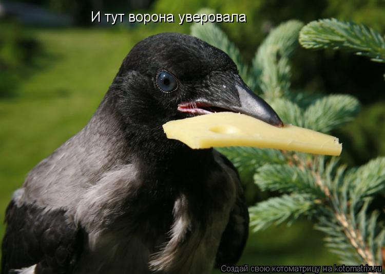 И тут ворона уверовала... Котоматрица: И тут ворона уверовала