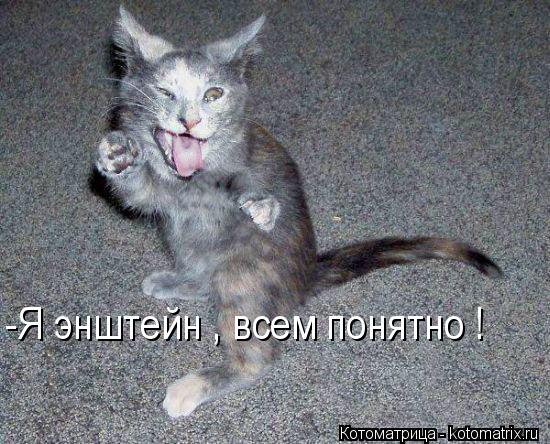 -Я энштейн , всем понятно !... Котоматрица: -Я энштейн , всем понятно !