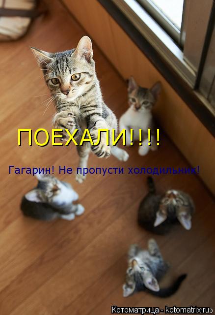 Гагарин! Не пропусти холодильник! ПОЕХАЛИ!!!!... Котоматрица: Гагарин! Не пропусти холодильник! ПОЕХАЛИ!!!!