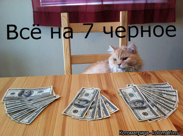 Всё на 7 черное... Котоматрица: Всё на 7 черное