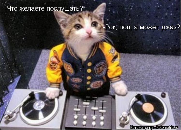 -Что желаете послушать? -Рок, поп, а может, джаз?... Котоматрица: -Что желаете послушать? -Рок, поп, а может, джаз?