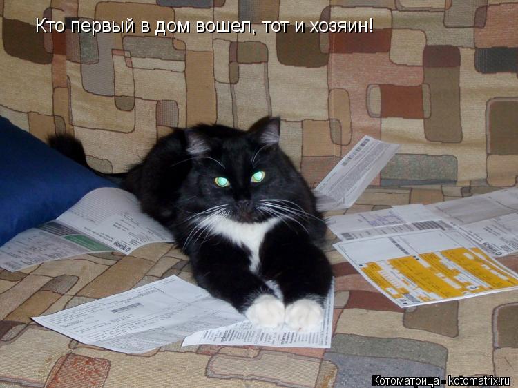 Кто первый в дом вошел, тот и хозяин!... Котоматрица: Кто первый в дом вошел, тот и хозяин!