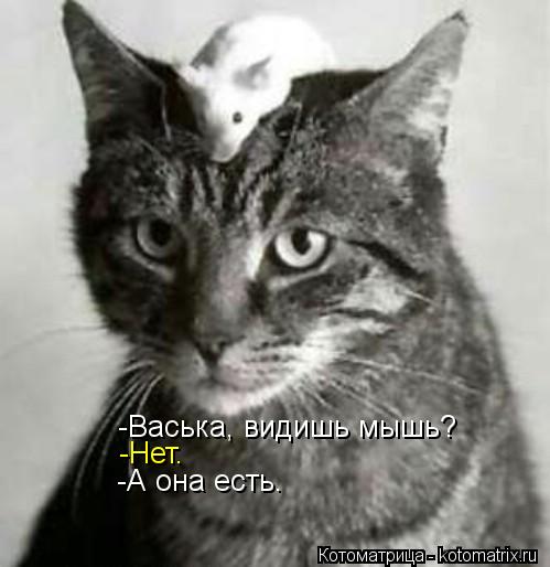 -Васька, видишь мышь? -Нет. -А она есть.... Котоматрица: -Васька, видишь мышь? -Нет. -А она есть.