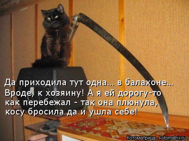 Да приходила тут одна… в балахоне… Вроде, к хозяину! А я ей дорогу-то как перебежал - так она плюнул... Котоматрица: Да приходила тут одна… в балахоне… Вроде, к хозяину! А я ей дорогу-то как перебежал - так она плюнула, косу бросила да и ушла себе!