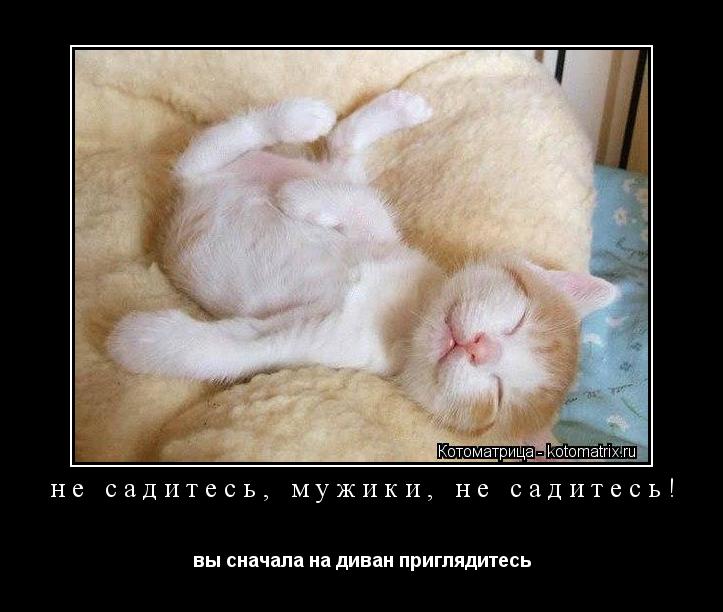не садитесь, мужики, не садитесь! вы сначала на диван приглядитесь... Котоматрица: не садитесь, мужики, не садитесь! вы сначала на диван приглядитесь