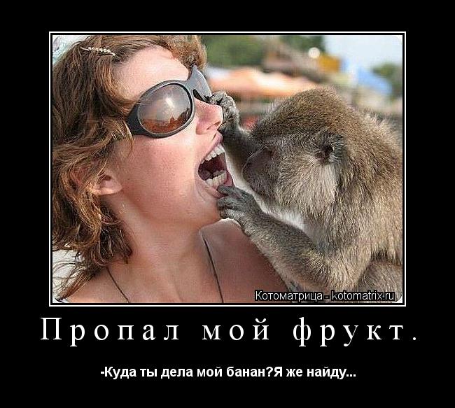 Котоматрица: Пропал мой фрукт. -Куда ты дела мой банан?Я же найду...