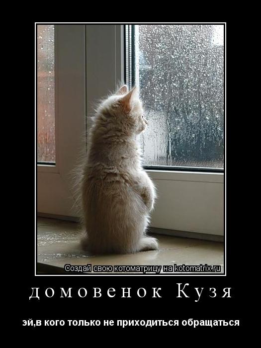 домовенок Кузя эй,в кого только не приходиться обращаться... Котоматрица: домовенок Кузя эй,в кого только не приходиться обращаться